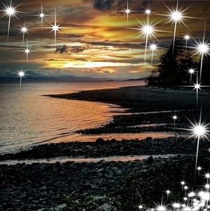 Meet your Posher, Paula